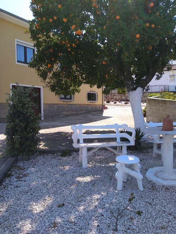 Casa Celeste Portugal Vila Nova de Gaia Zewnętrze zdjęcie